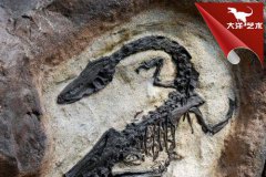 《科学》:精确测定出恐龙于6595万年前灭绝